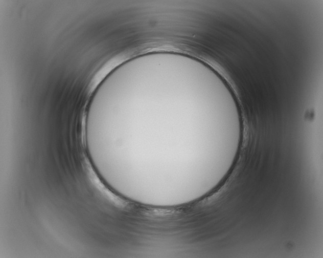 X0000114141290200910081018