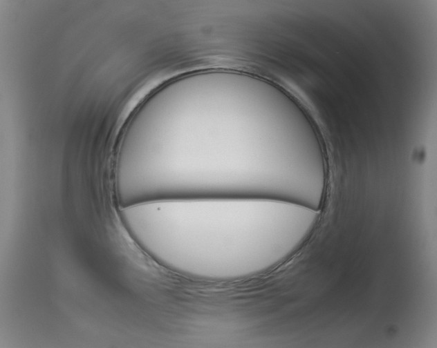 X0000114141291200910081018