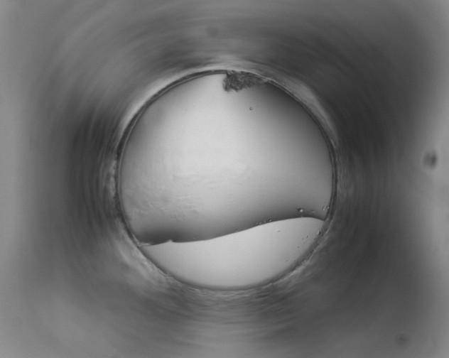 X0000114141292200910081018