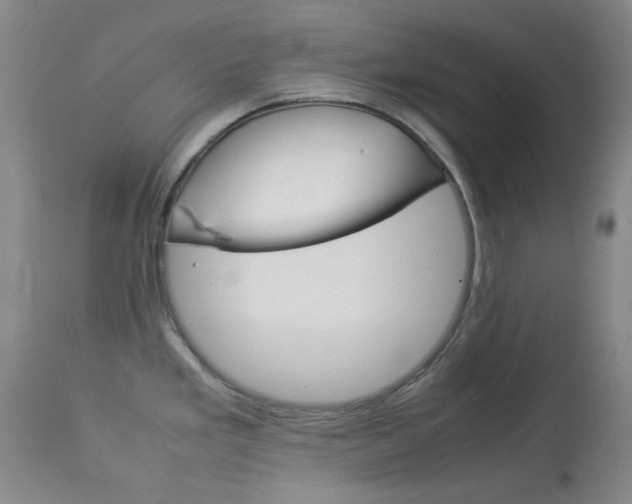 X0000114141293200910081017