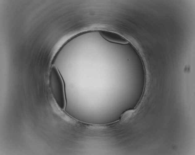 X0000114141296200910081017
