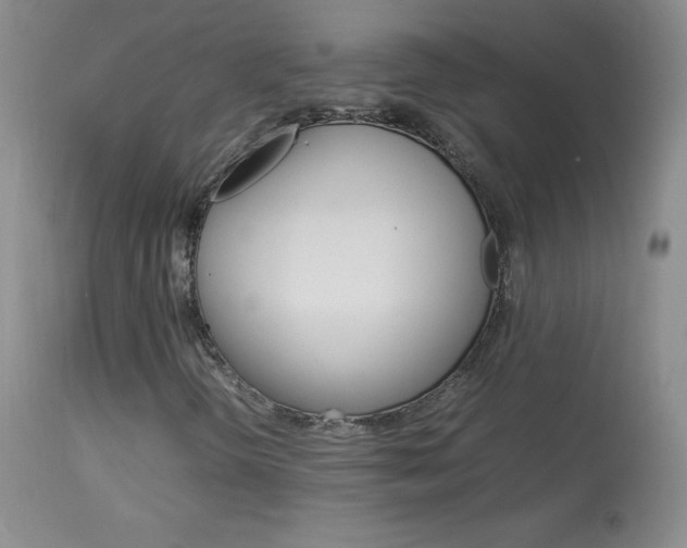 X0000114141298200910081017