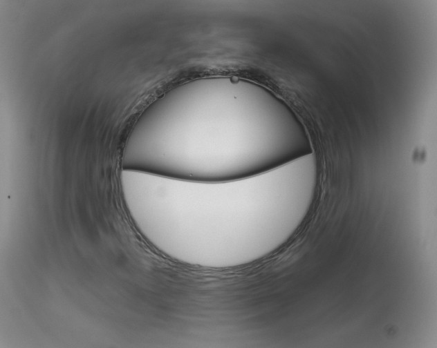 X0000114141300200910081017
