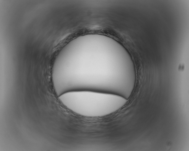 X0000114141301200910081017
