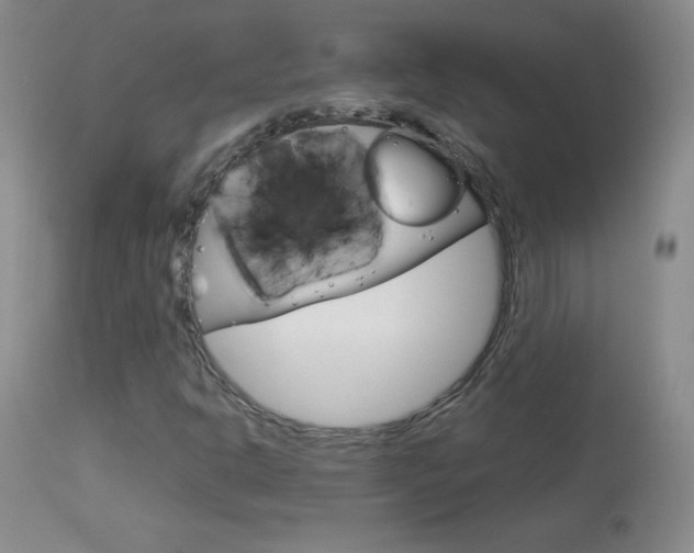 X0000114141302200910081017