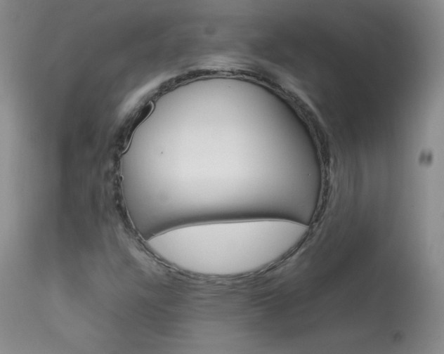 X0000114141304200910081017