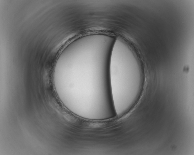 X0000114141305200910081017
