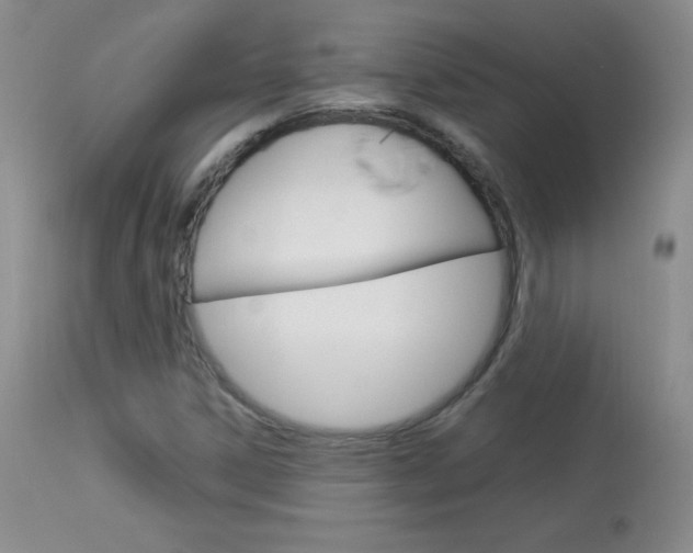 X0000114141306200910081017