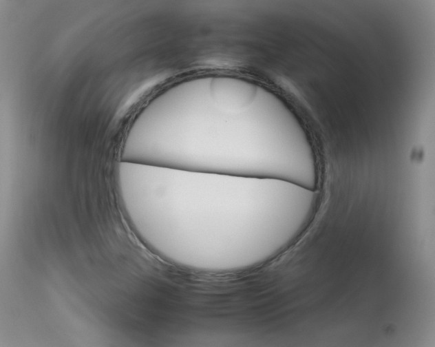 X0000114141307200910081017