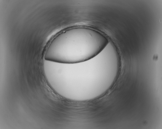 X0000114141308200910081017