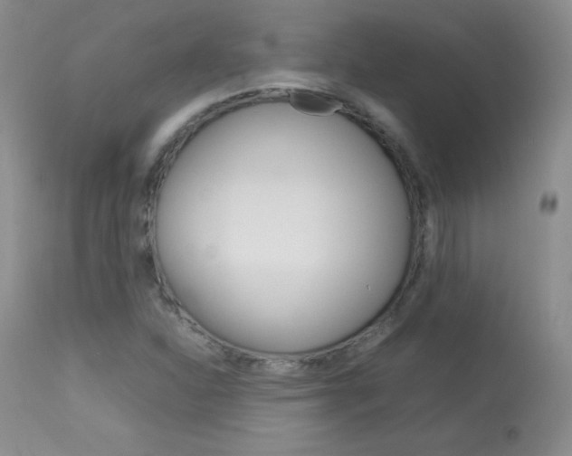 X0000114141310200910081017