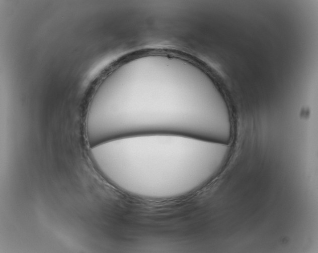 X0000114141311200910081017