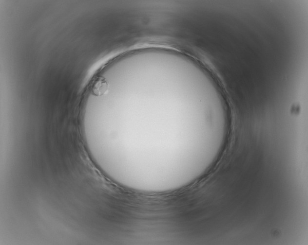 X0000114141312200910081017