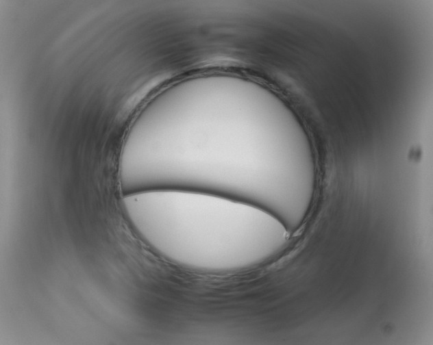 X0000114141313200910081017