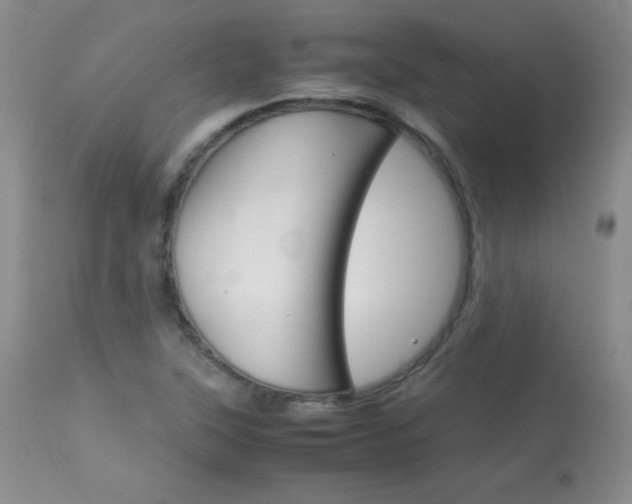 X0000114141315200910081017