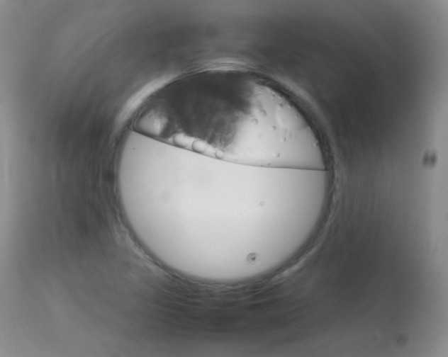X0000114141317200910081017