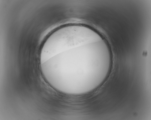 X0000114141318200910081017