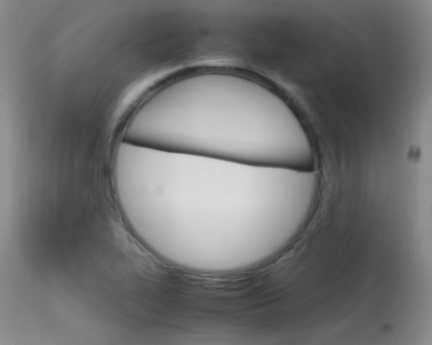 X0000114141319200910081017