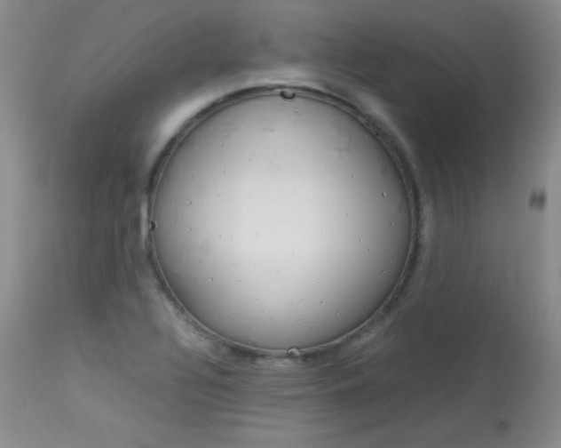 X0000114141320200910081017