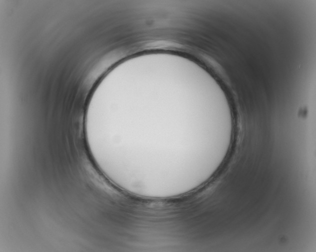 X0000114141322200910081017
