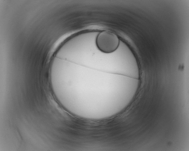 X0000114141323200910081017