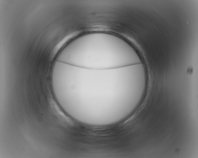 X0000114141325200910081017
