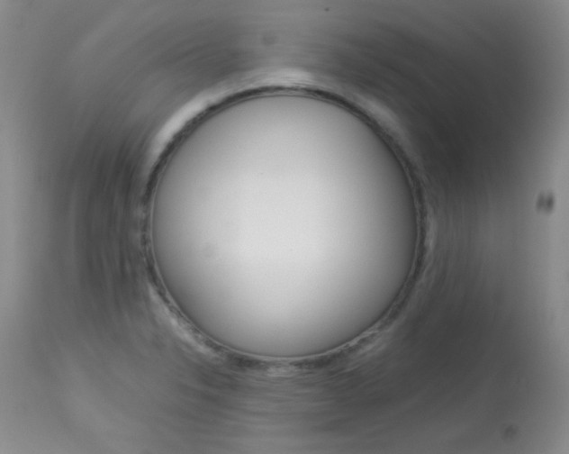 X0000114141326200910081017