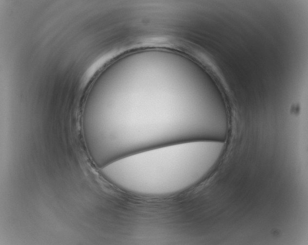 X0000114141328200910081017