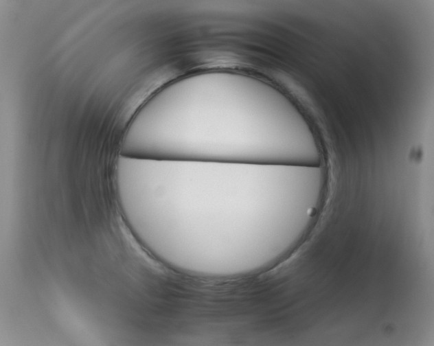 X0000114141329200910081017