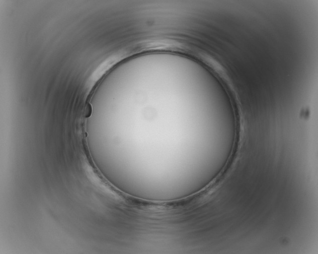 X0000114141330200910081017