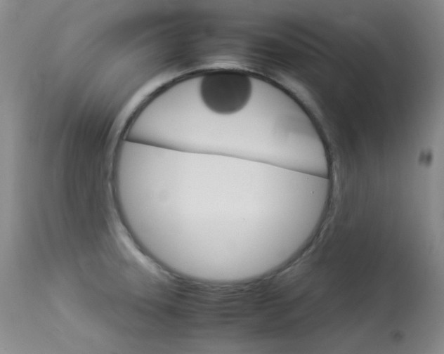 X0000114141331200910081017