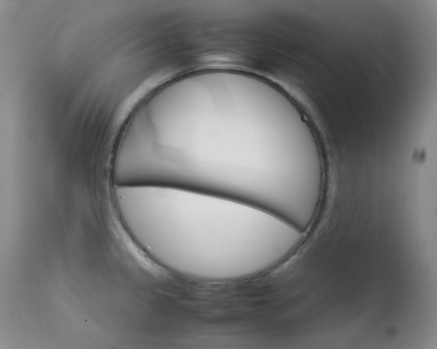 X0000114141333200910081017