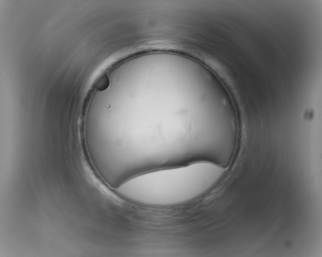 X0000114141334200910081017