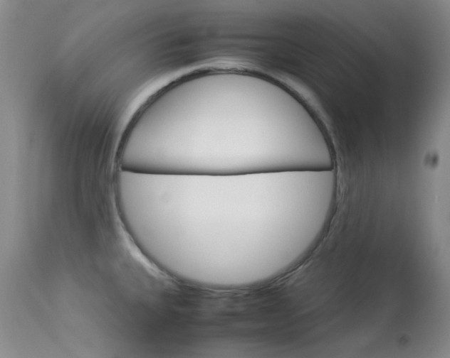 X0000114141335200910081017