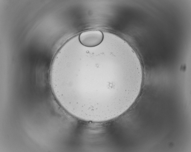 X0000114141338200910081017