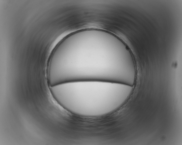 X0000114141339200910081017