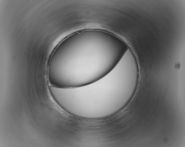 X0000114141342200910081017