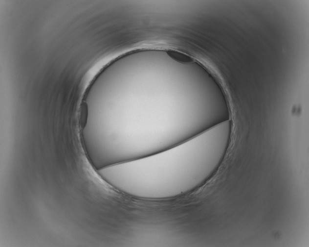 X0000114141344200910081017