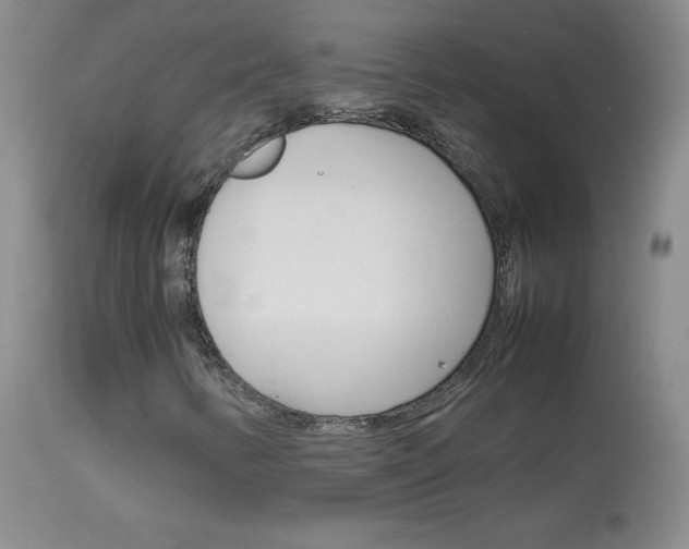 X0000114141346200910081017