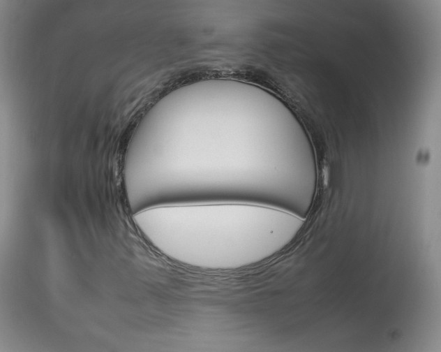 X0000114141347200910081017