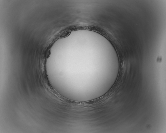 X0000114141348200910081017