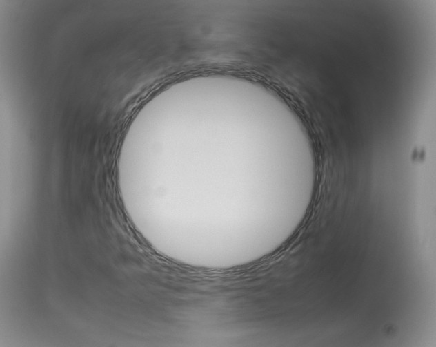 X0000114141349200910081017