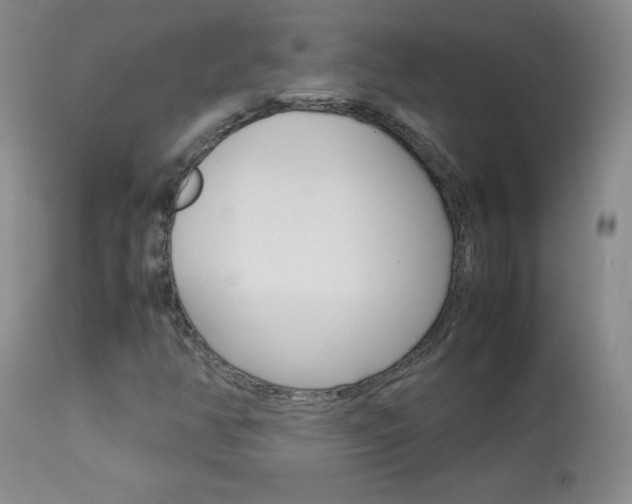 X0000114141350200910081017
