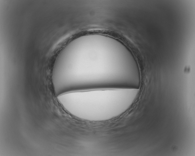 X0000114141351200910081016