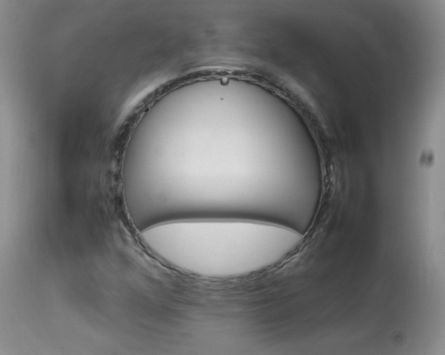 X0000114141352200910081016