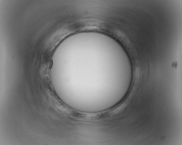 X0000114141353200910081016