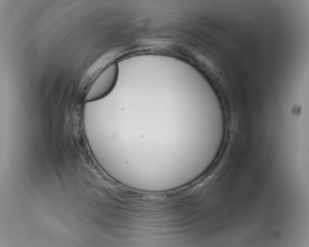 X0000114141354200910081016