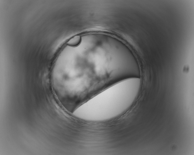 X0000114141356200910081016