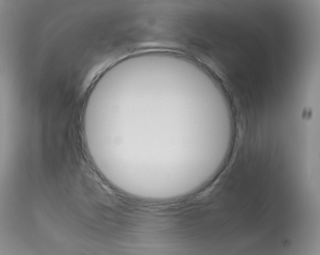 X0000114141357200910081016