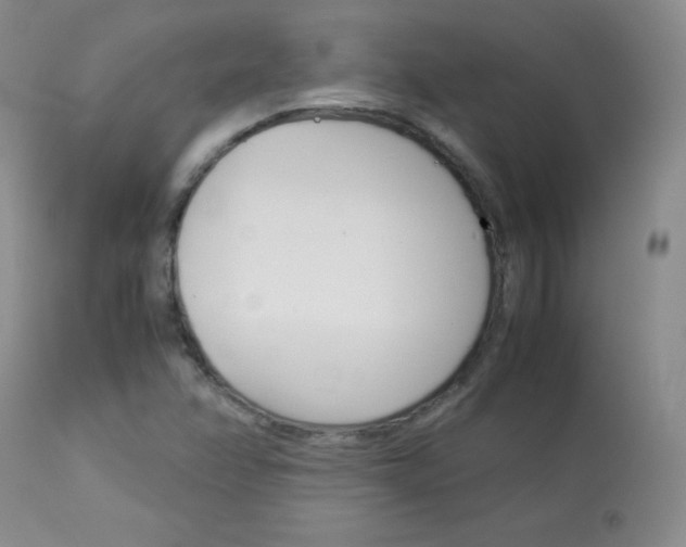 X0000114141358200910081016